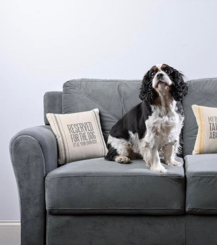RESERVED FOR THE DOG PILLOW